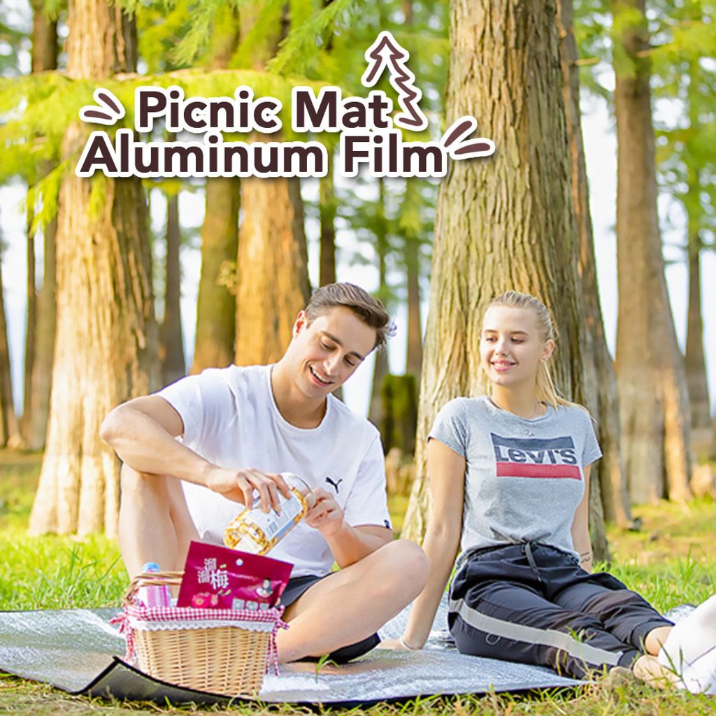 FB Picnic Mat Aluminum Film 01.jpg