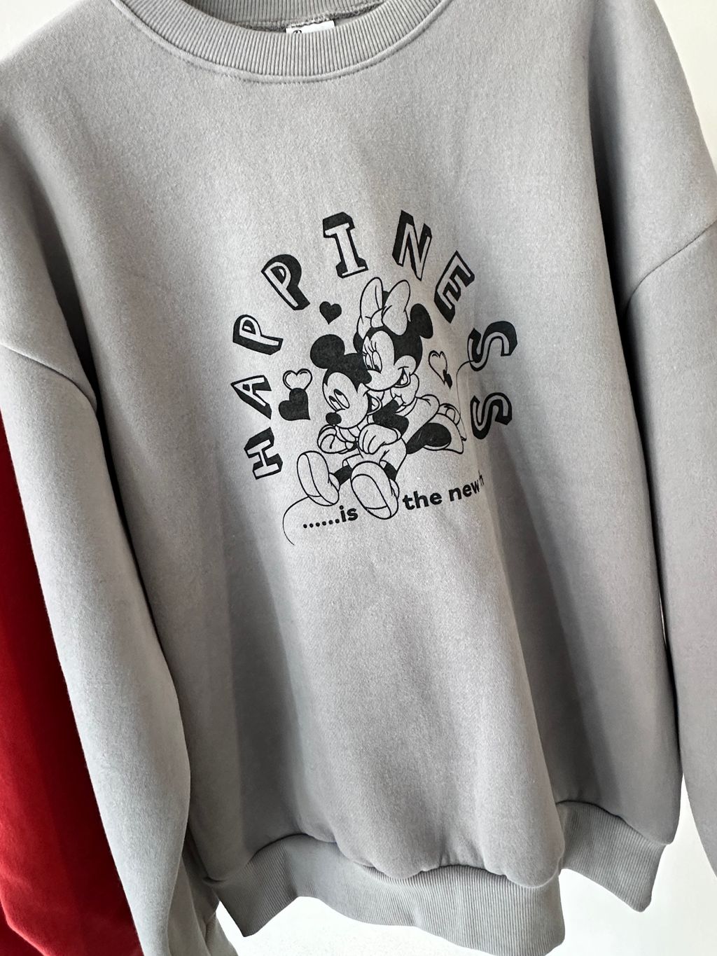 image_6825E1DE-761E-4F7E-9B75-8CB16DE6E757_1767857993