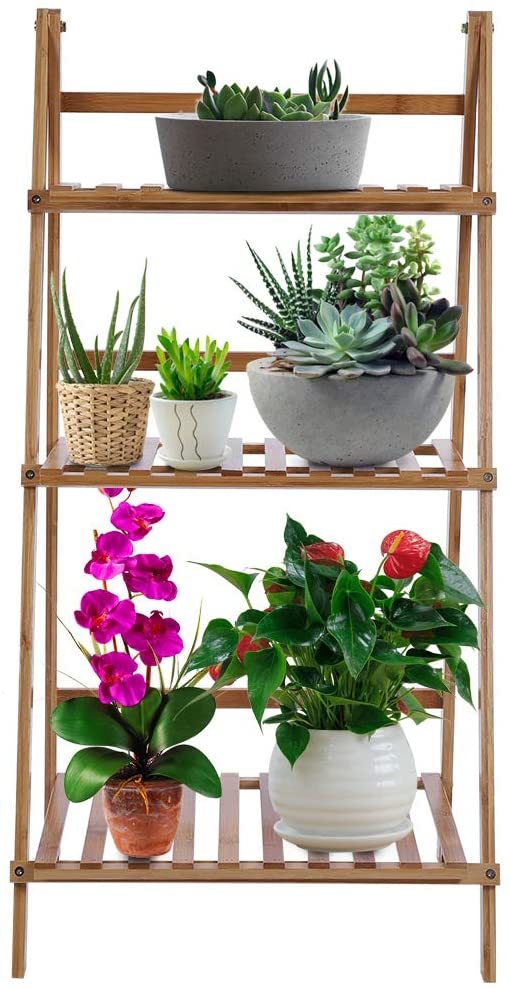 Plant Rack 3.jpg