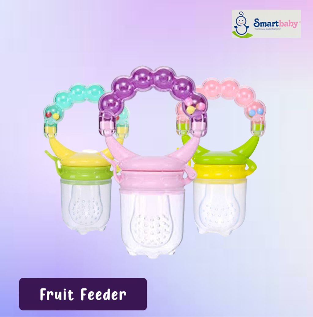 smartbaby fruit feeder
