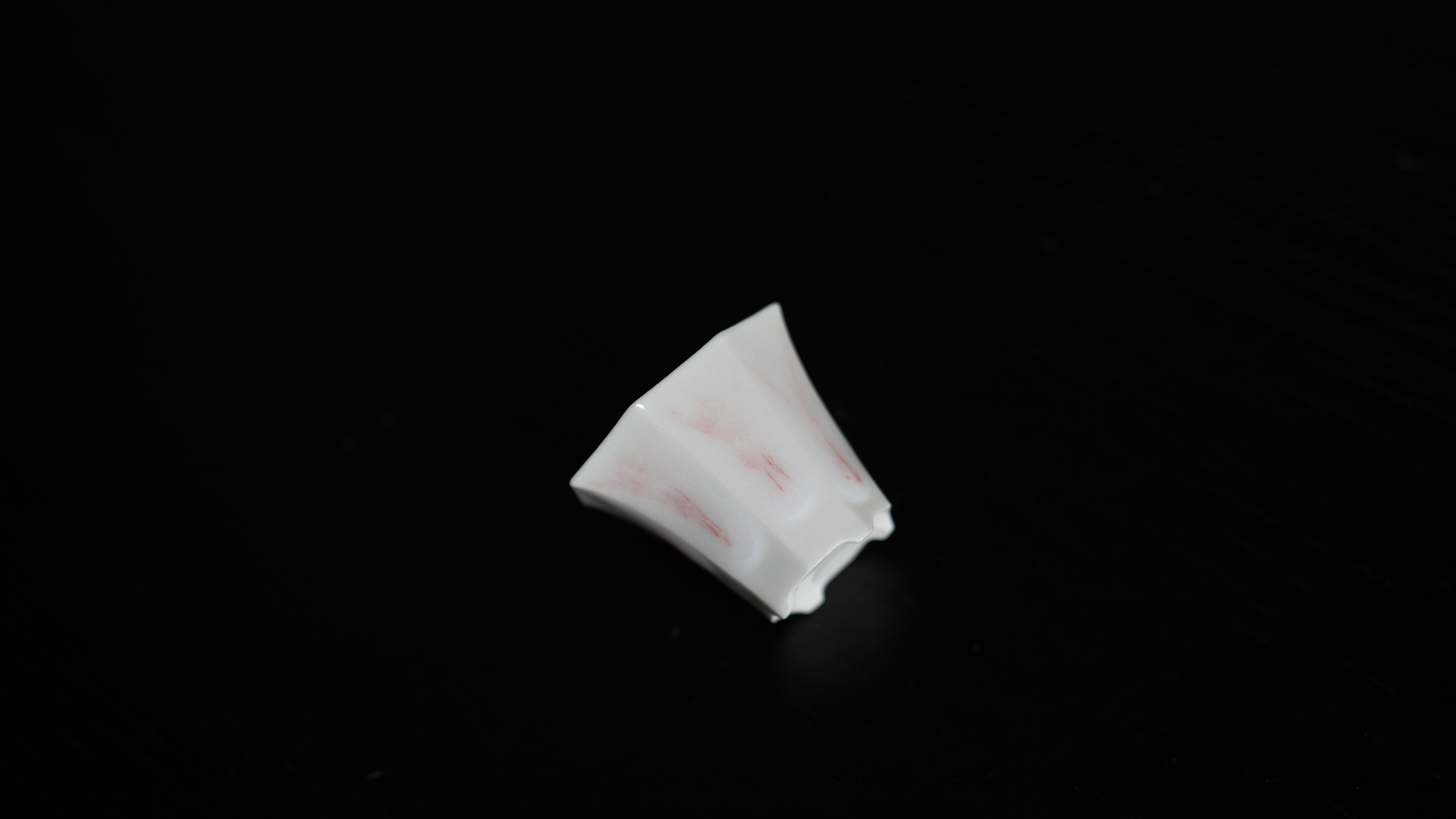 DSC04646