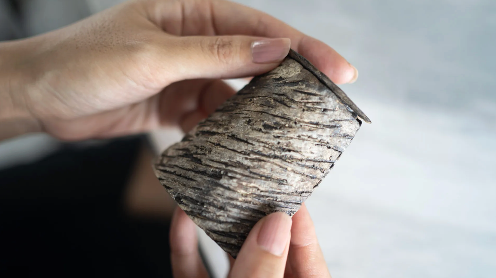 截圖 2026-02-09 晚上9.19.24