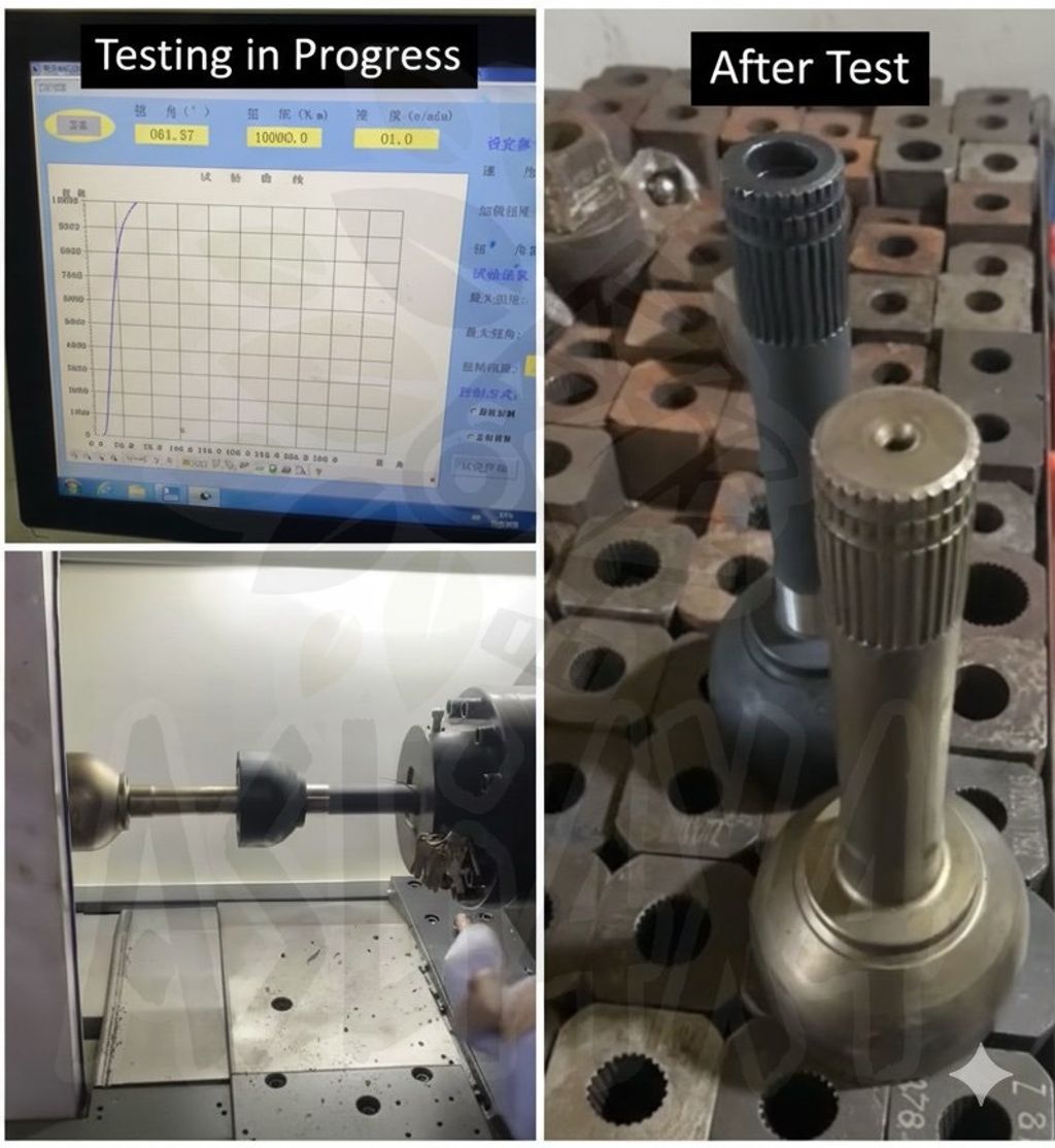 image_01637791-B356-4FD3-94D0-A41AEB214555_1764134859