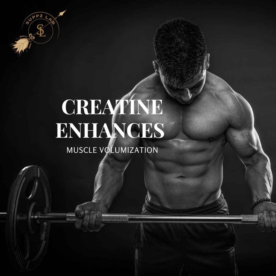 Creatine Enhances Muscle Volumization