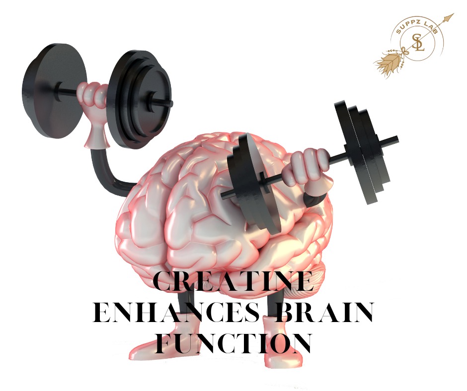 Creatine Enhances Brain Function