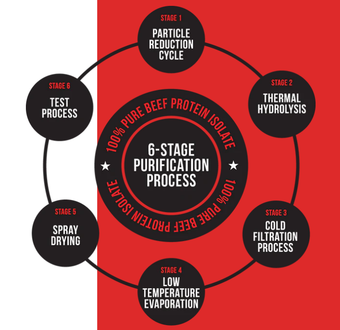 Carnivor mass beef protein isolate processing of 6 stage purification process which enable them to have the best beef protein in malaysia and the world