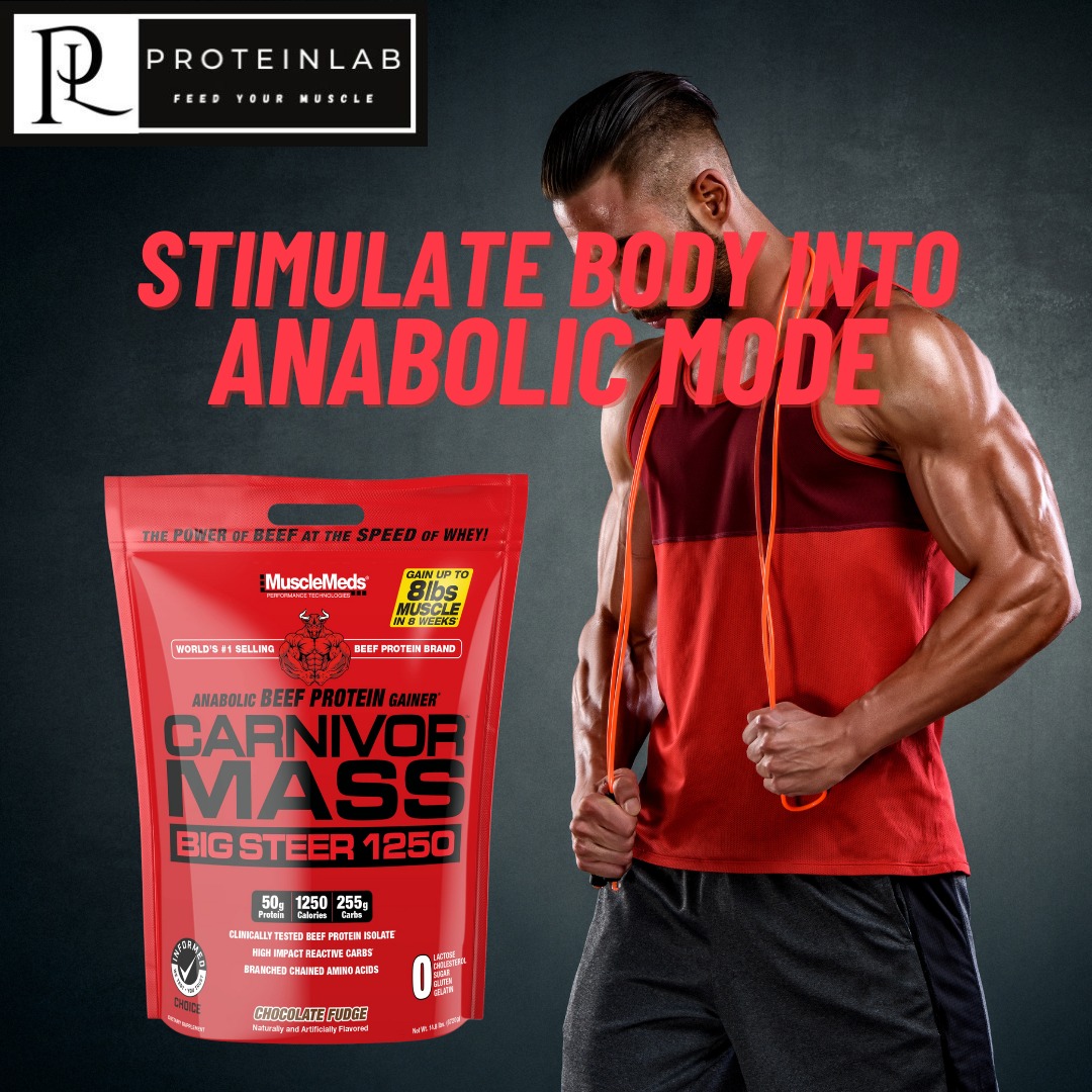 Carnivor Mass 15lbs big Steer 1250 calories www.proteinlab.com.my proteinlab malaysia with poster of stimulate anabolic mode mass