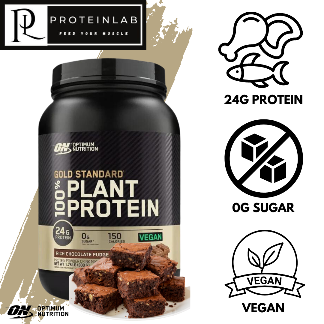 GOLD STANDARD 100% PLANT PROTEIN (5)