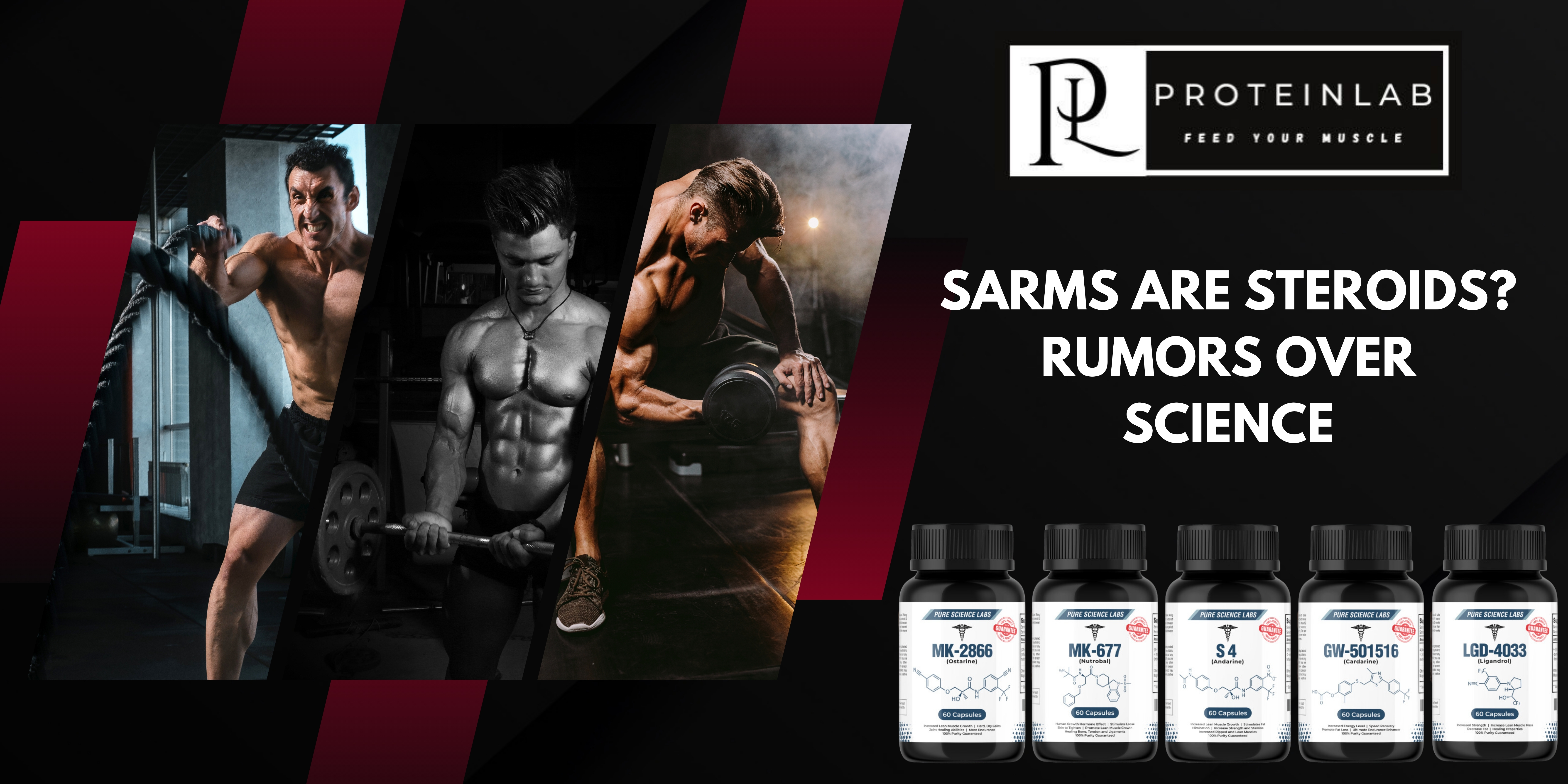 SARMs Are Steroids Rumors Over Science Cover Page