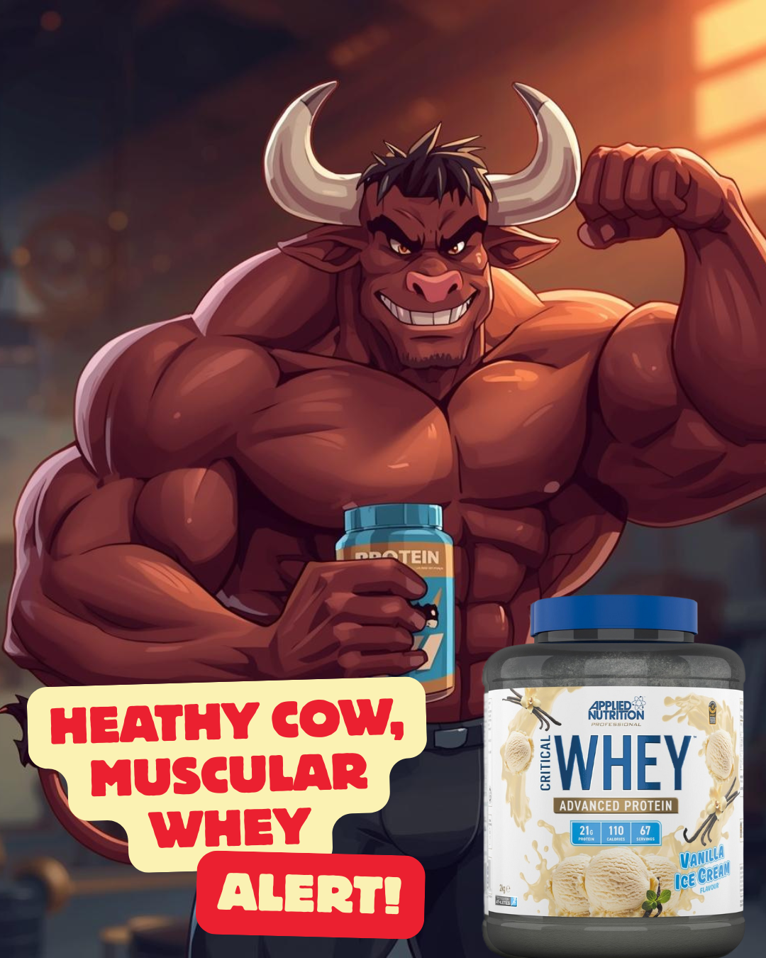 Heathy cow, Muscular whey