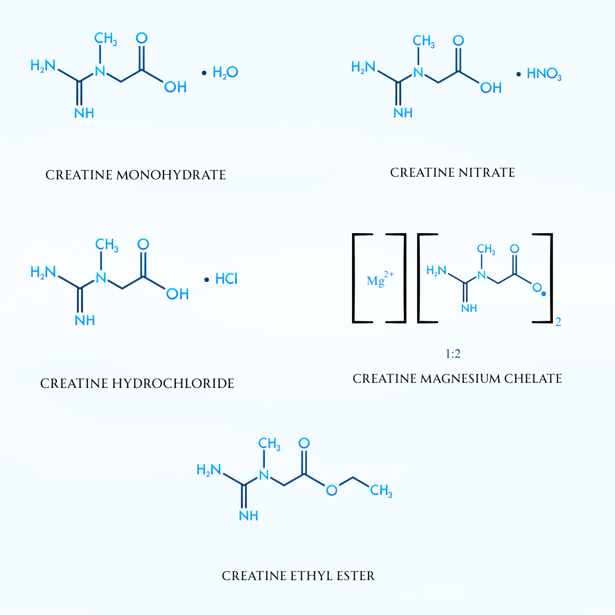 Types of Creatine Supplements