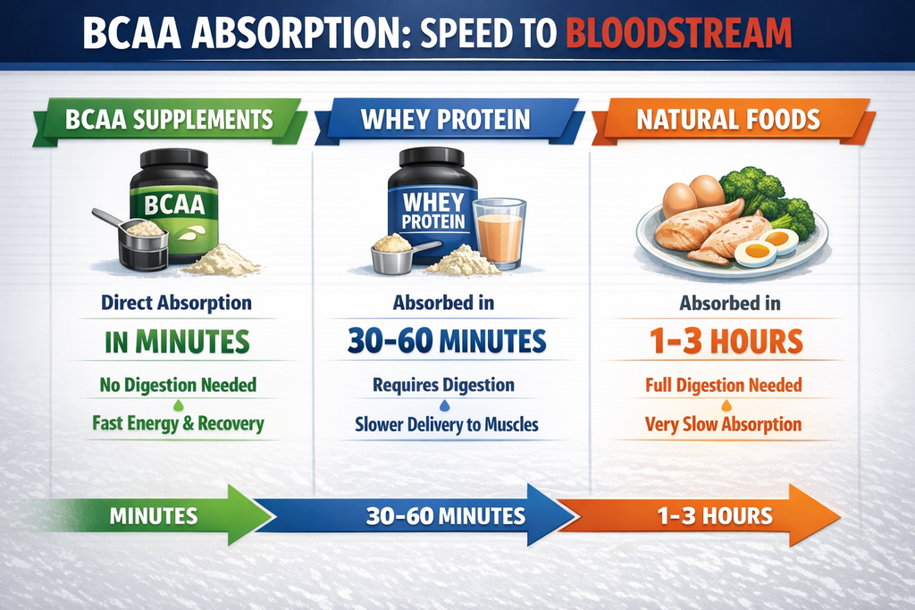 Importance of BCAA: Faster Absorption, Recovery Speed, Lactose Intolerant Support, Faster Results.