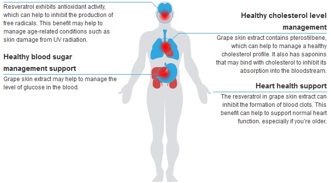 grape-skin-extract-benefits-diagram-proteinlab.com.my.png