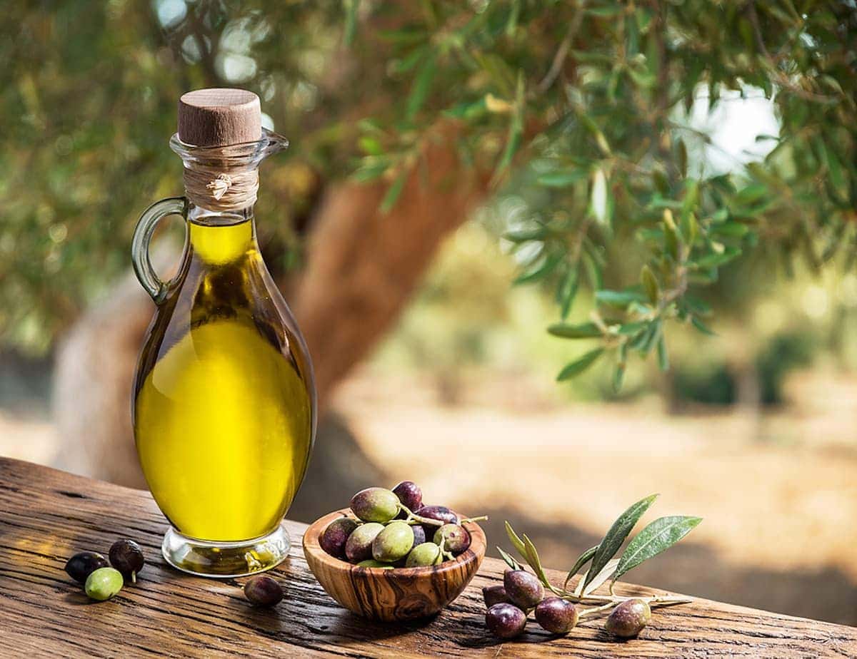 Olive Oil and Tree.jpg