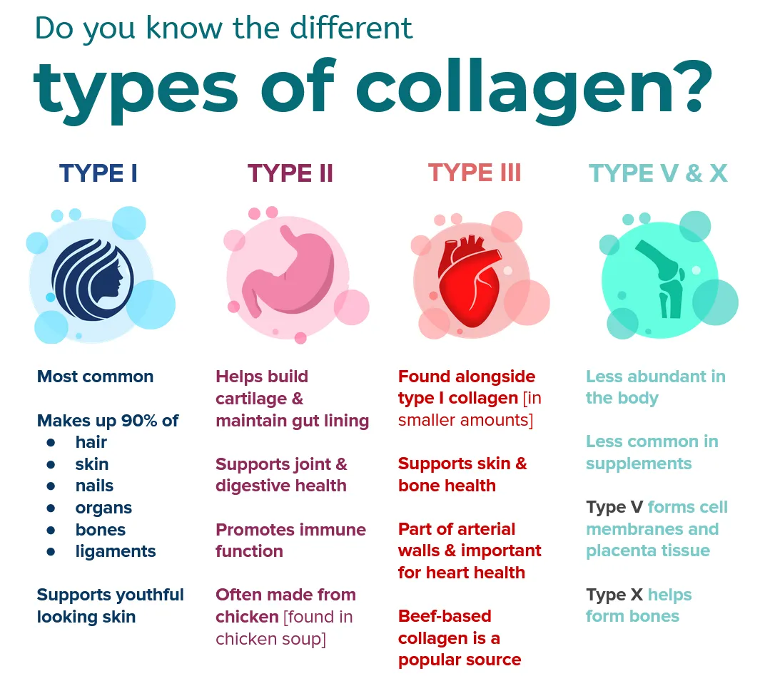 types of collagen proteinlab design.jpg