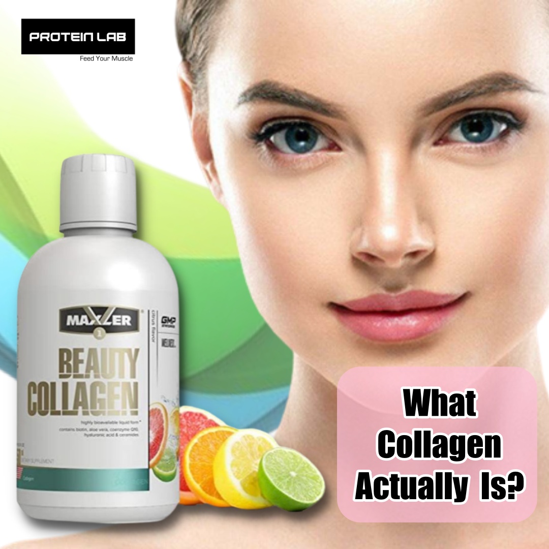 proteinlab design what collagen actually is.jpg