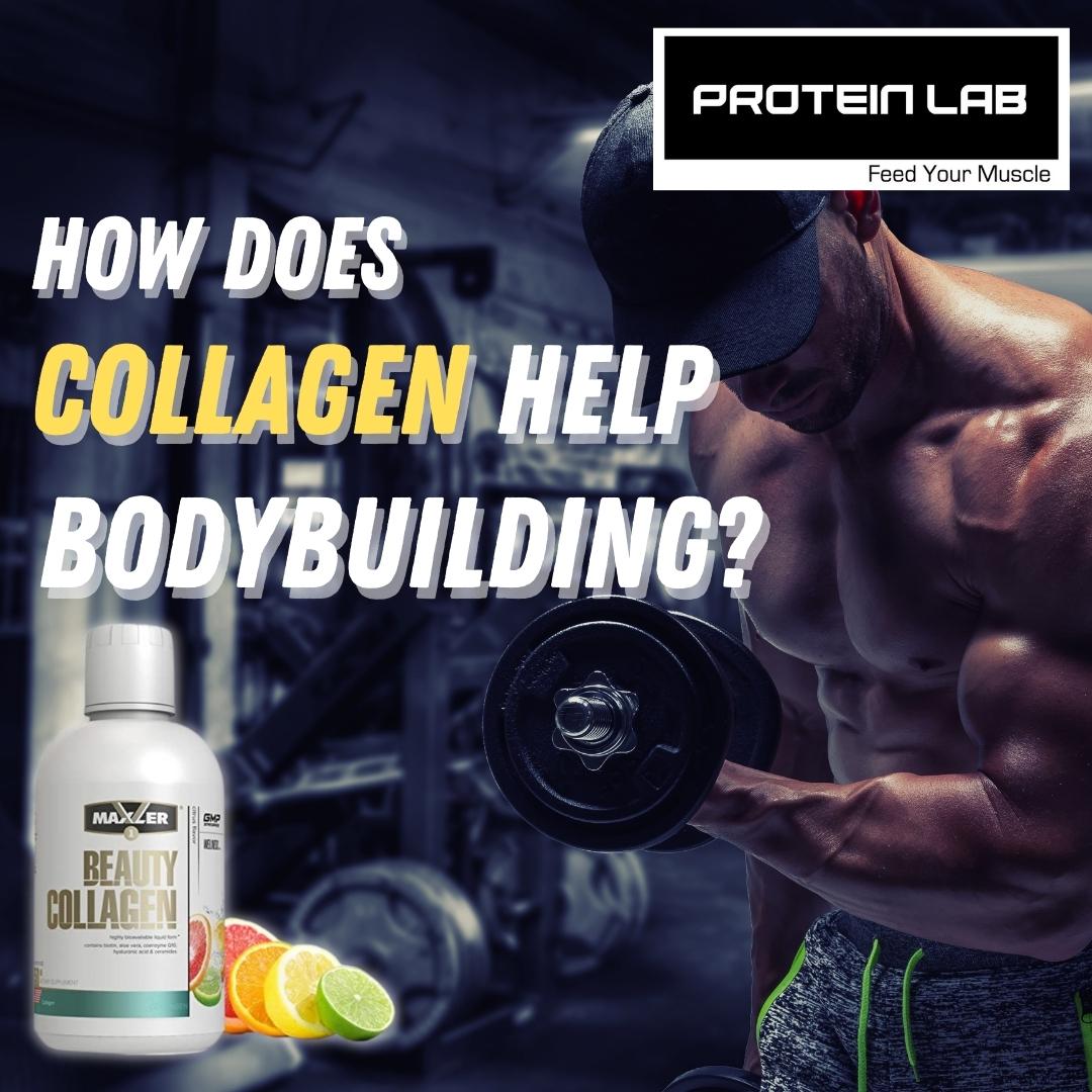 proteinlab design how does collagen help on bodybuilding.jpeg