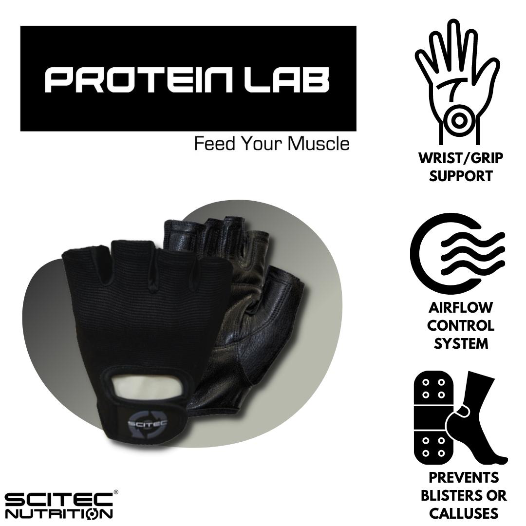 PROTEINLAB SCITEC NUTRITION BASIC GLOVES.jpeg