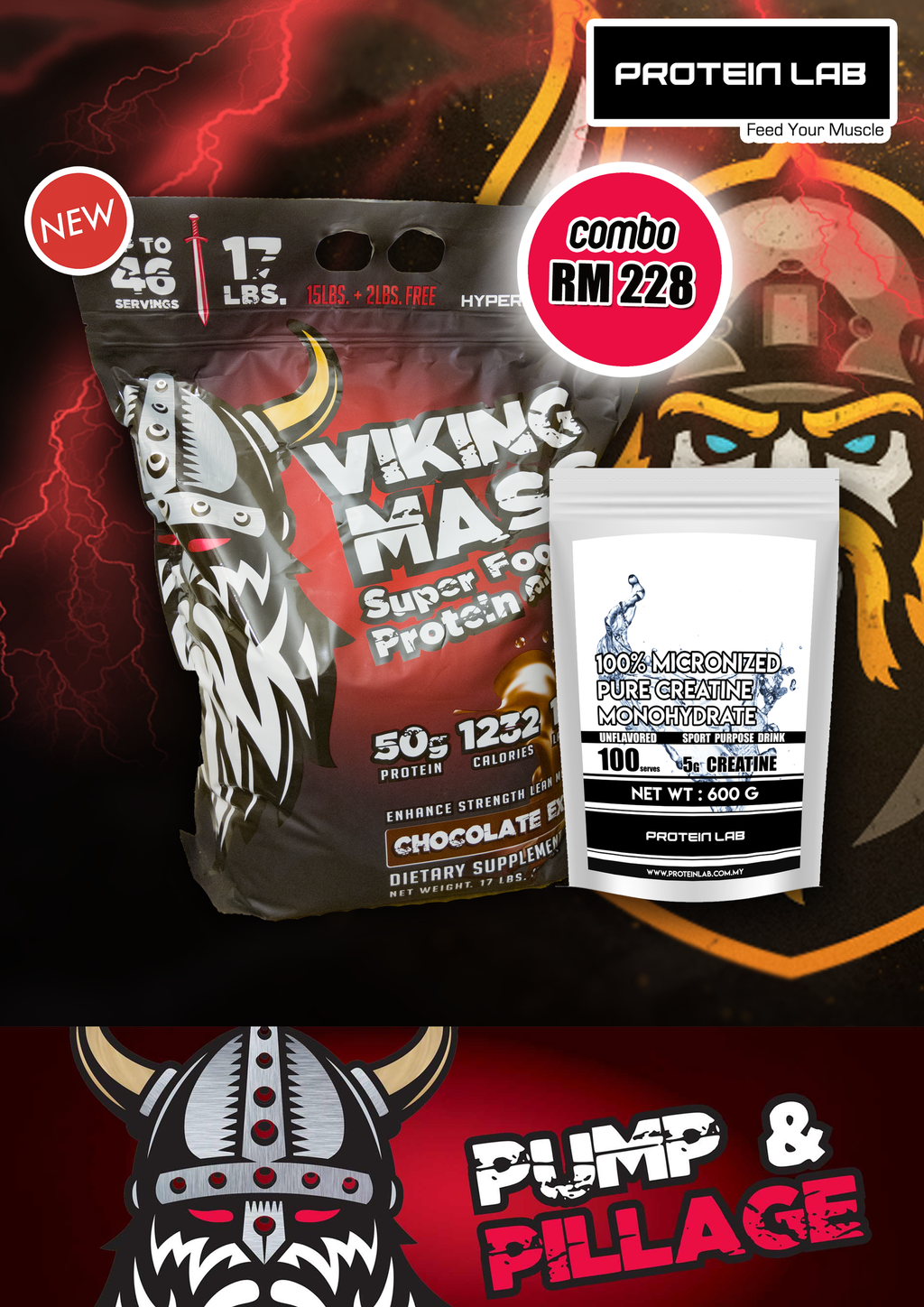 viking.PNG