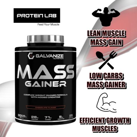 galvanize mass gainer2.jpg
