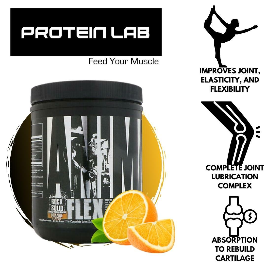 Universal Animal Flex Powder (339G) – Proteinlab Malaysia - Sport  supplement supplier in Malaysia!