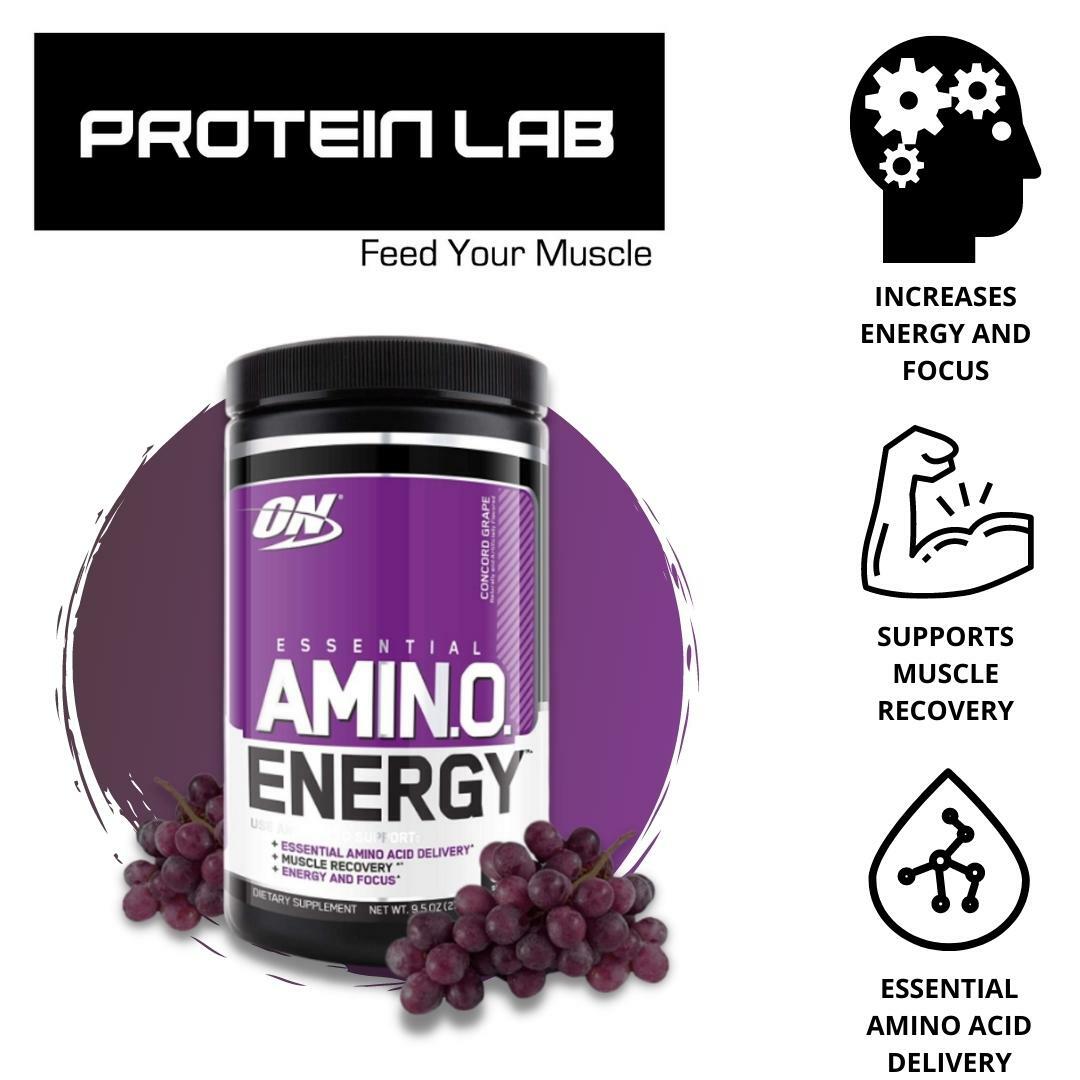 Optimum Nutrition (ON) Essential Amino Energy (30 Servings) – Proteinlab  Malaysia - Sport supplement supplier in Malaysia!