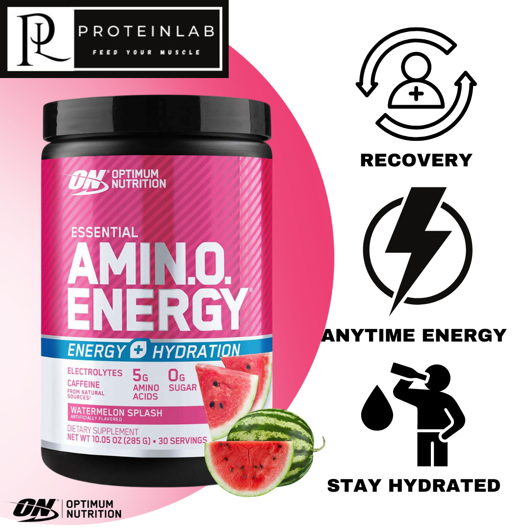 optimum nutrition l carnitine malaysia Pre Workout Review Optimum Nutrition (ON) L-Carnitine 500