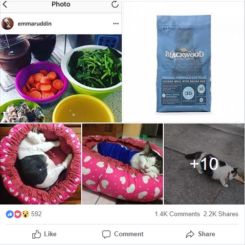Resepi Makanan Kucing