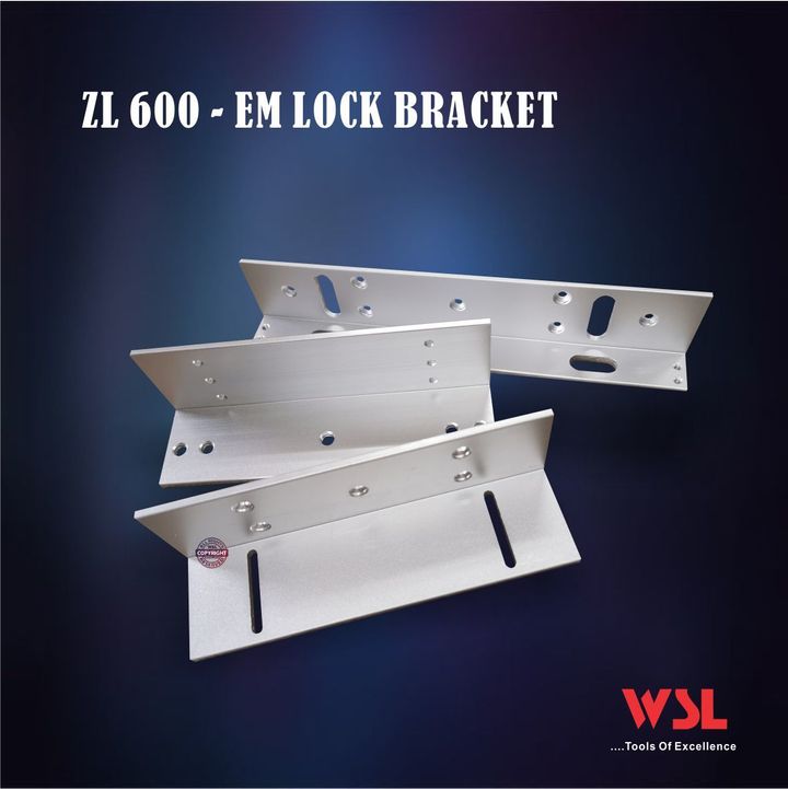 ZL600 EM LOCK.jpg