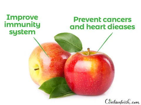 Apple-ver21.png