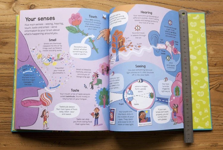 The Usborne Big Book of the Body – Toysdirect - Online Kids Toys & Baby Toys Malaysia