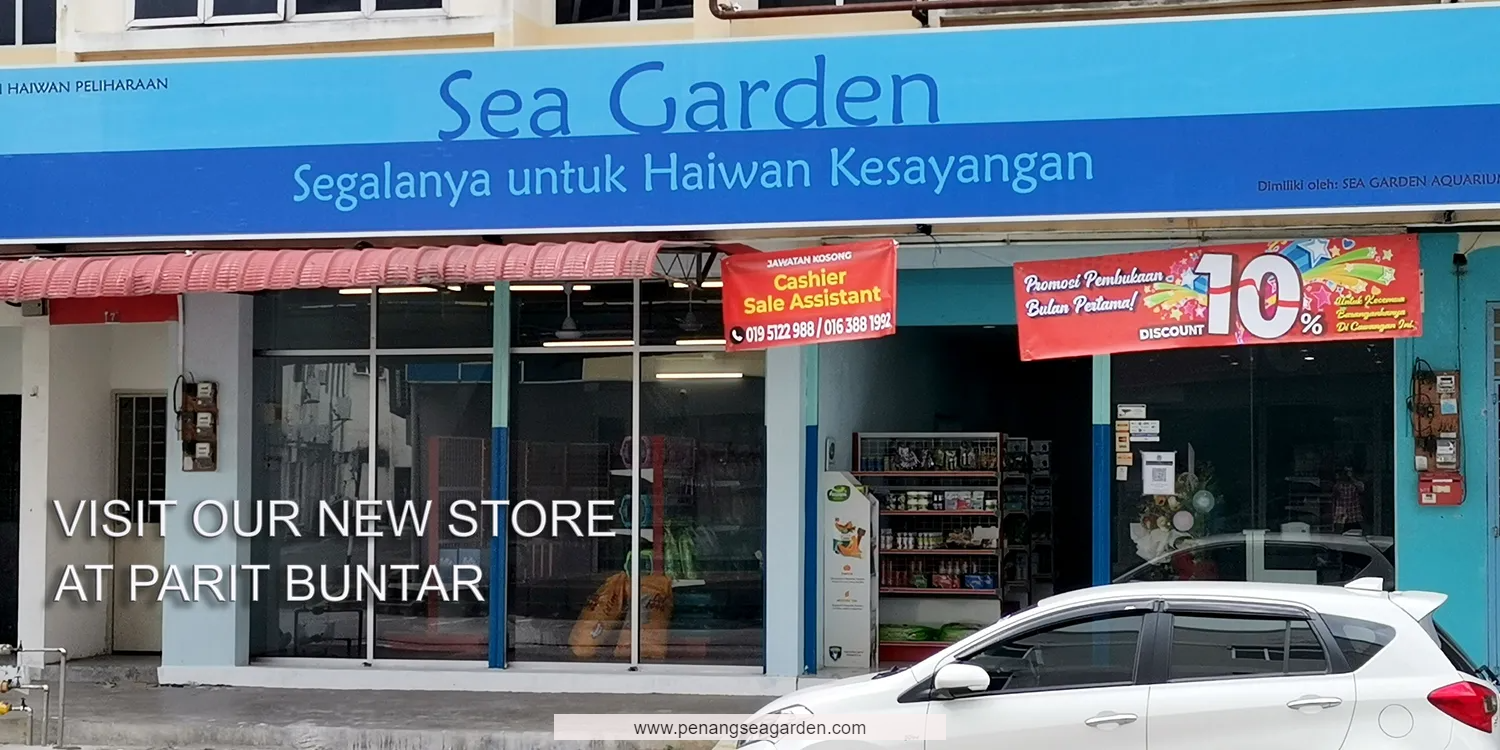 Penang Sea Garden Aquatic | Sea Garden Pet Accessories