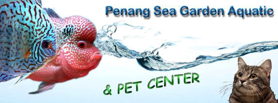 Penang Sea Garden Aquatic | 