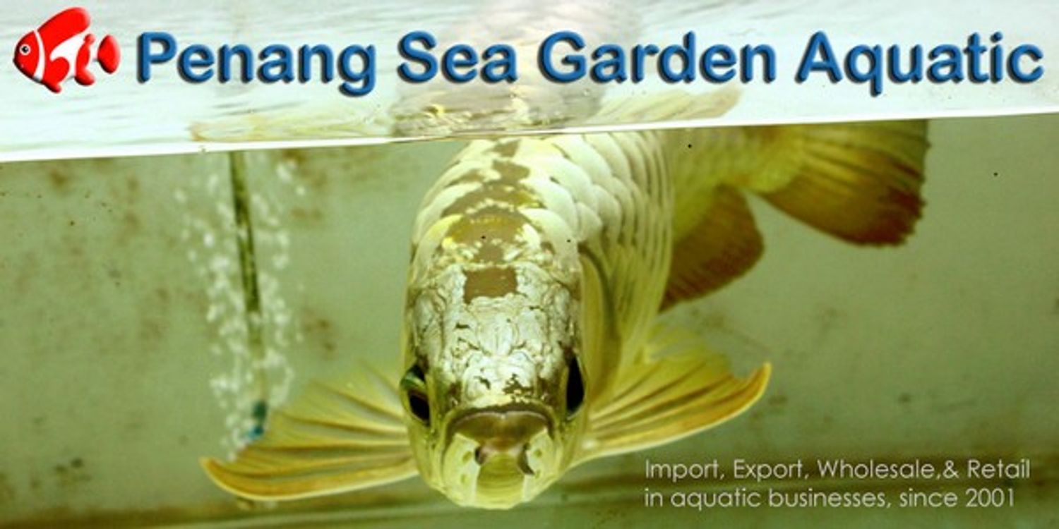 Penang Sea Garden Aquatic | 