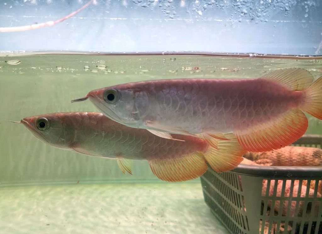 WhatsApp Image 2026-04-16 at 11.46.38 AM