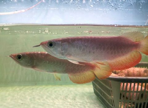 WhatsApp Image 2026-04-16 at 11.46.38 AM