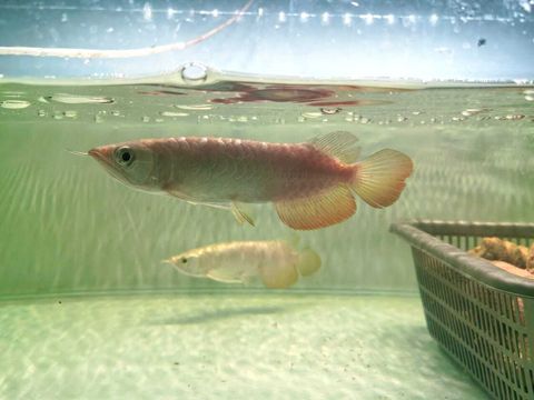 WhatsApp Image 2026-04-16 at 11.46.39 AM