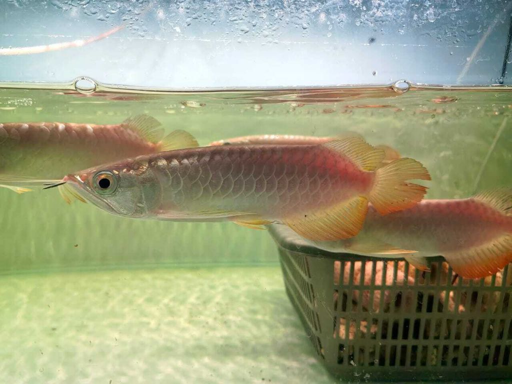 WhatsApp Image 2026-04-16 at 11.46.39 AM (1)