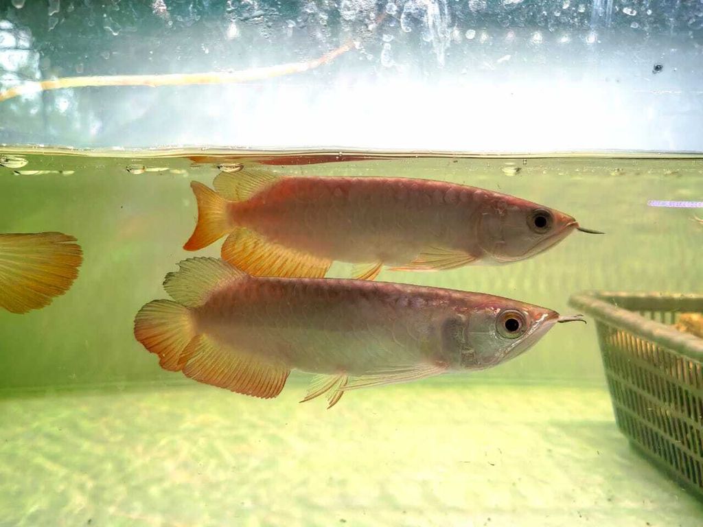 WhatsApp Image 2026-04-16 at 11.46.40 AM