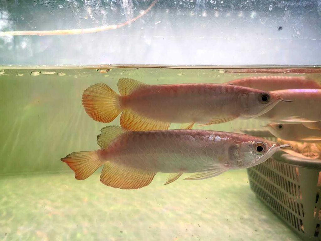 WhatsApp Image 2026-04-16 at 11.46.40 AM (2)