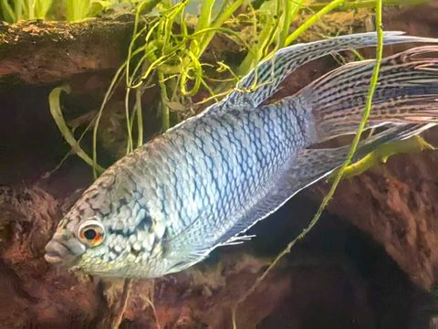 WhatsApp Image 2026-04-16 at 11.50.30 AM