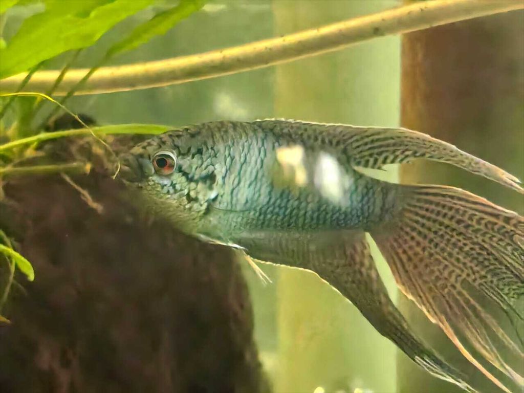 WhatsApp Image 2026-04-16 at 11.50.31 AM