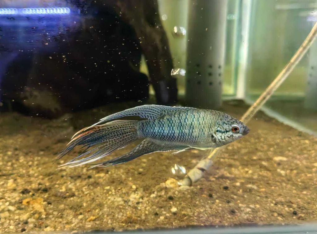 WhatsApp Image 2026-04-16 at 11.50.31 AM (1)