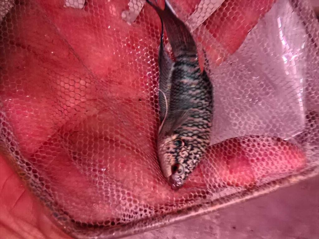 WhatsApp Image 2026-04-16 at 11.50.31 AM (2)