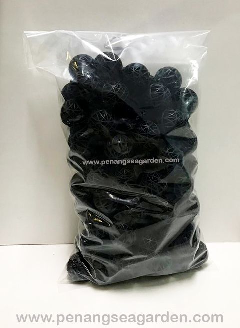Bio Ball with Sponge 带棉生化球 36mm-1w.jpg