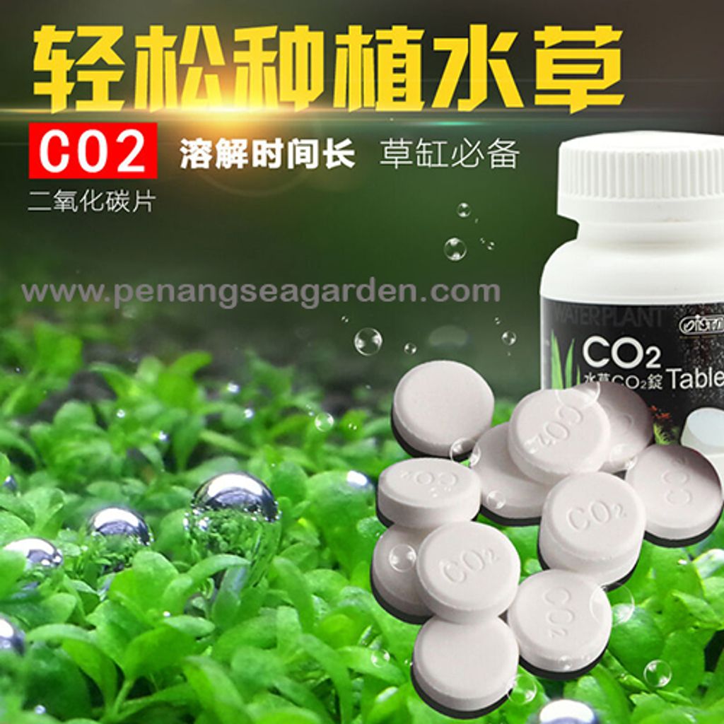 ISTA Water Plant CO2 水草 (100 Tablet) RM23-2w.jpg
