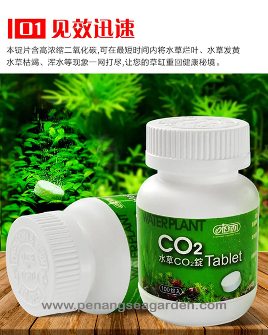 Ista Water Plant Co2 水草二氧化碳片 100 Tablet 片剂 Penang Sea Garden Aquatic Ista Water Plant Co2 水草二氧化碳片 100 Tablet 片剂 Penang Sea Garden Aquatic