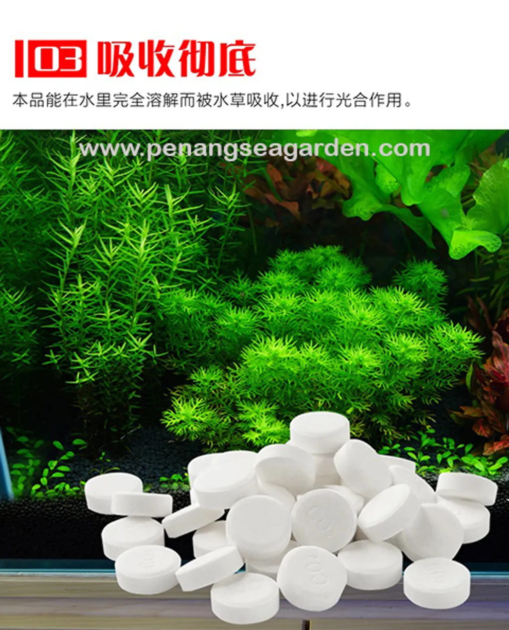 Ista Water Plant Co2 水草二氧化碳片 100 Tablet 片剂 Penang Sea Garden Aquatic