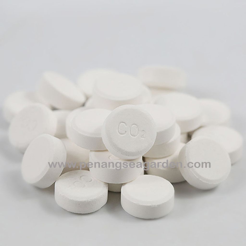 ISTA Water Plant CO2 水草 (100 Tablet) RM23-8w.jpg