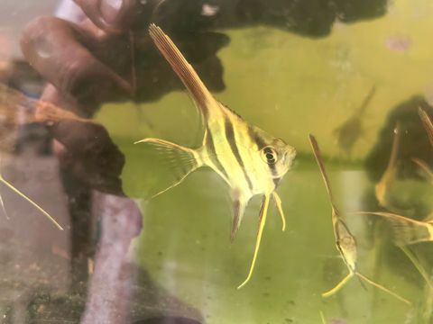 IMG_20260813_124756_edit_1004448522331623